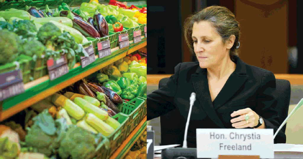canadians-to-get-grocery-rebate-payments-in-a-few-weeks-cra